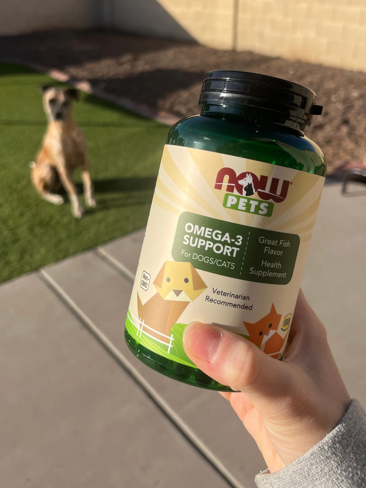 NOW Pets pet-wellness product photography by Lindsey Dalton