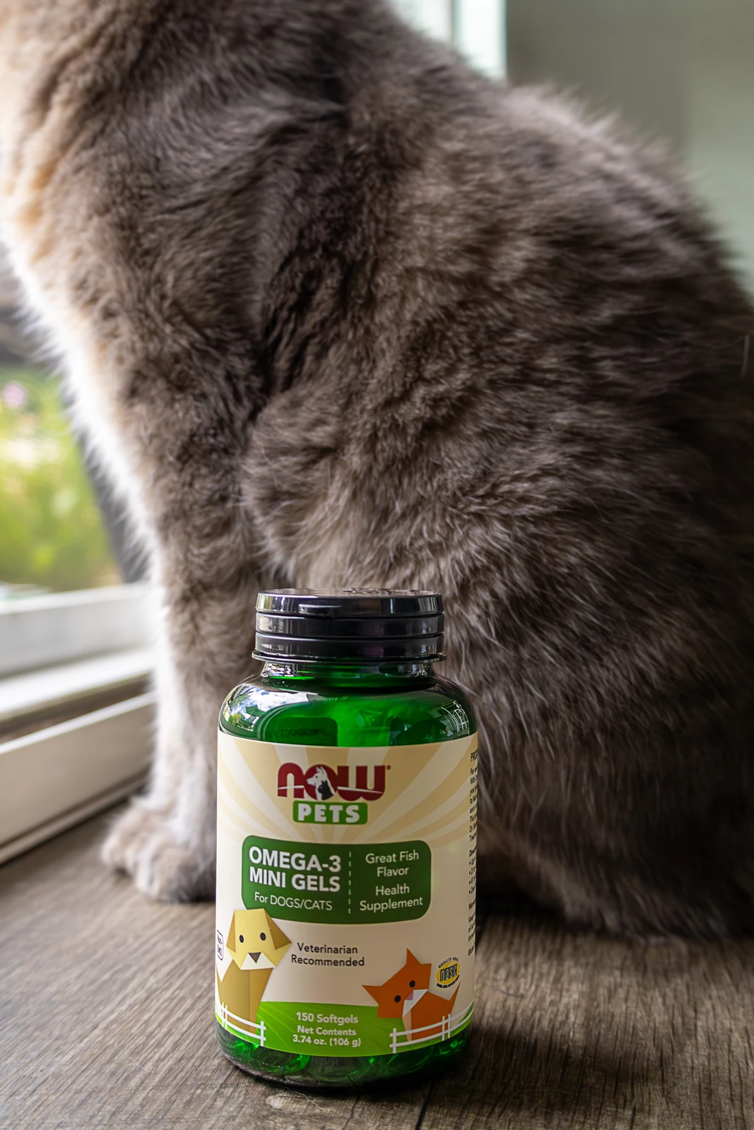 NOW Pets pet-wellness product photography by Lindsey Dalton