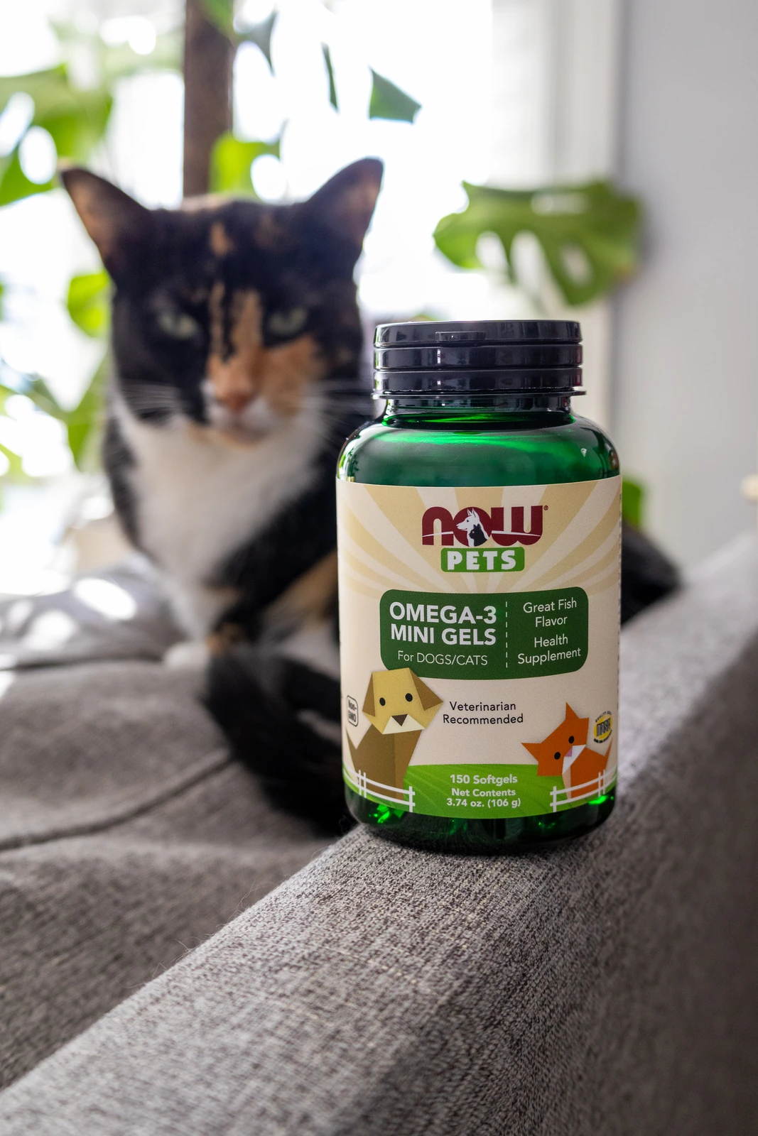 NOW Pets pet-wellness product photography by Lindsey Dalton