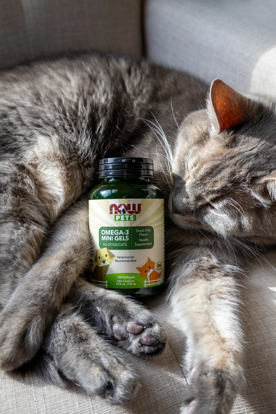 NOW Pets pet-wellness product photography by Lindsey Dalton