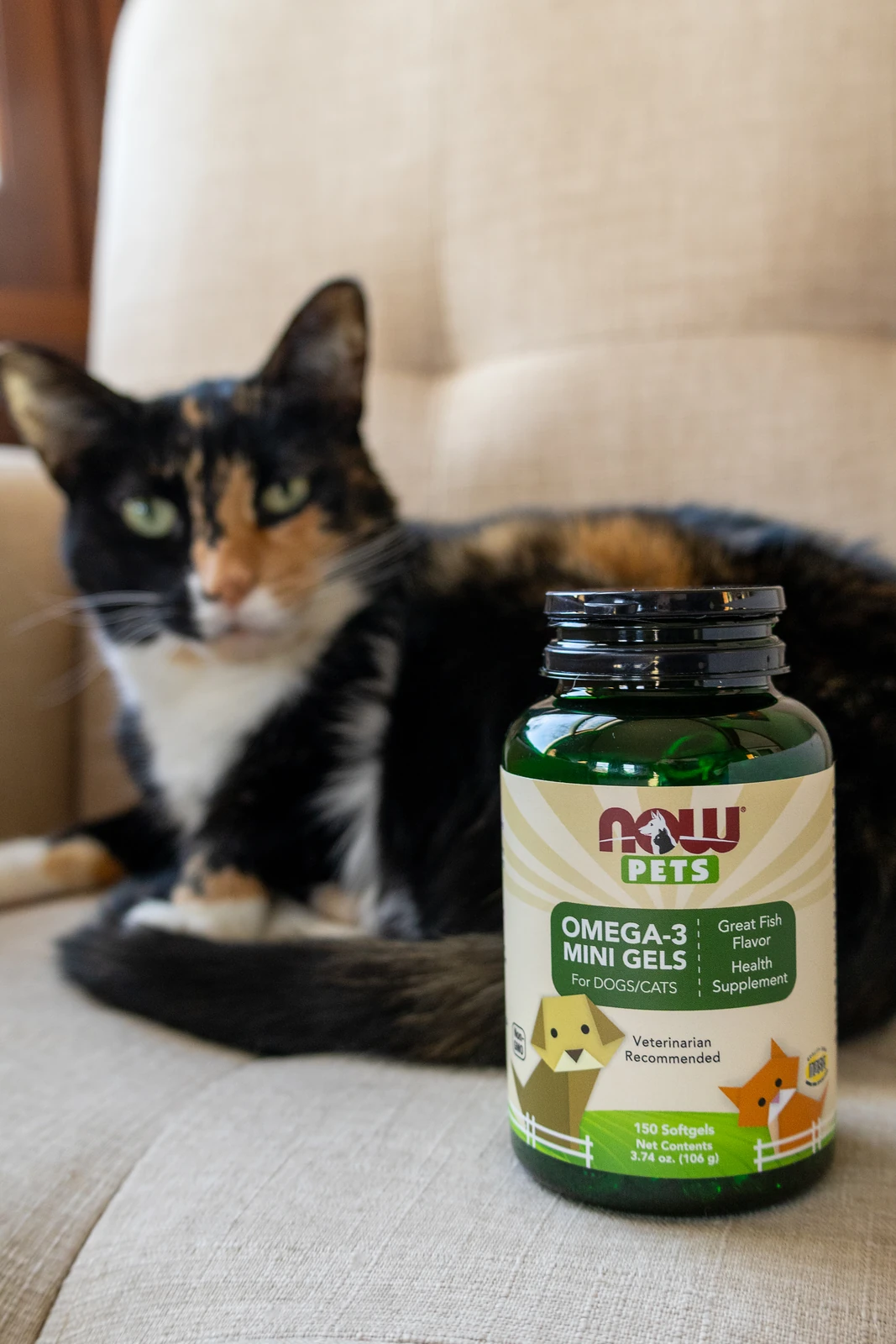 NOW Pets pet-wellness product photography by Lindsey Dalton