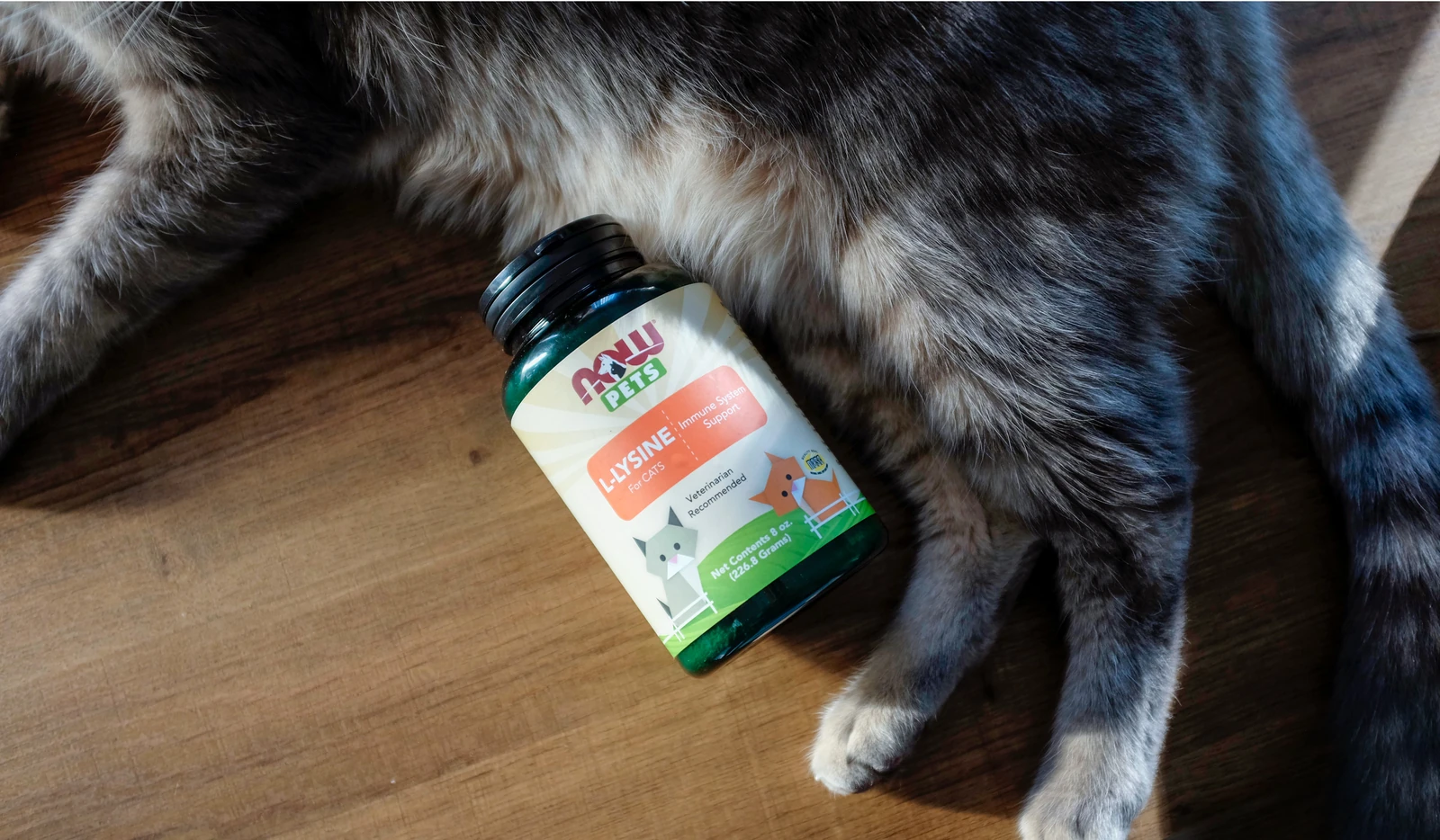 NOW Pets pet-wellness product photography by Lindsey Dalton
