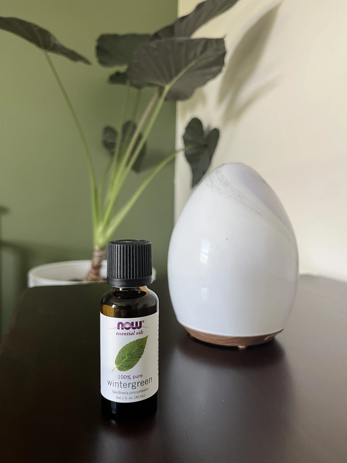 NOW Wintergreen essential oil beside a ceramic diffuser and a houseplant